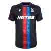 Maglia ufficiale Crystal Palace Alternativa 2024-25 per Uomo